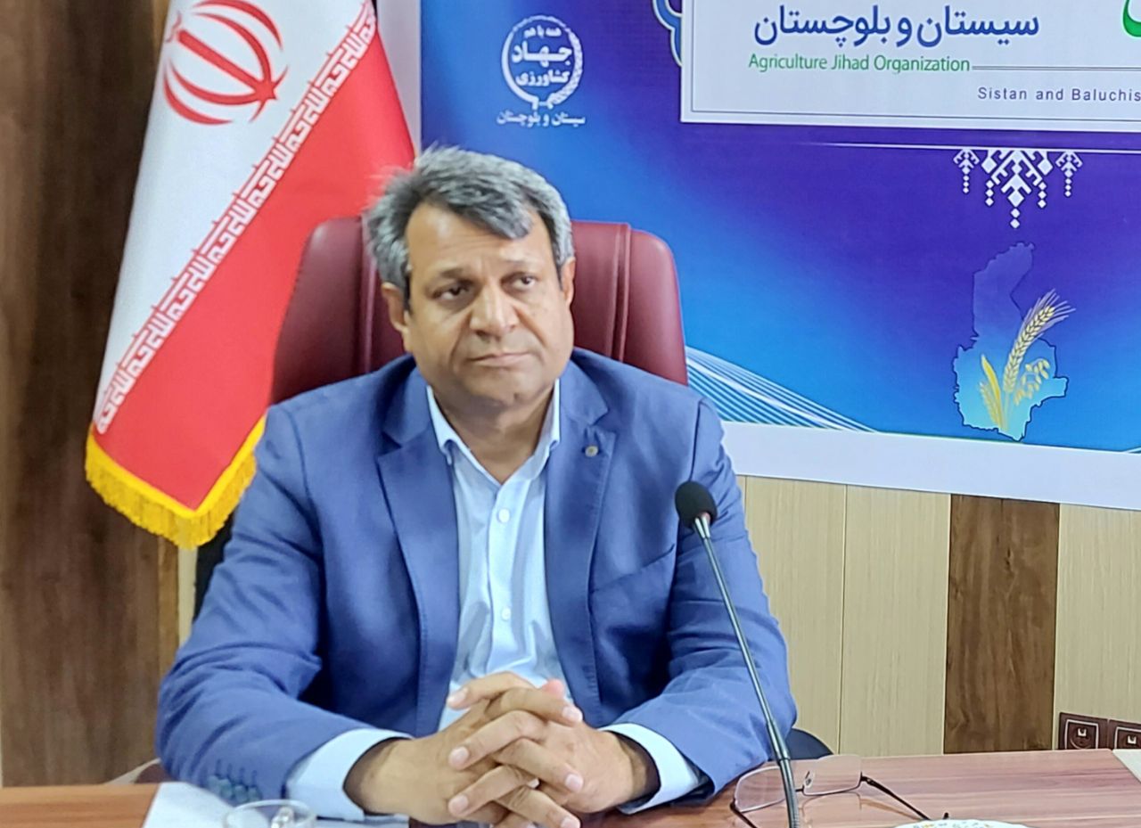 رکورد خرید گندم در سیستان و بلوچستان از مرز ۶۰ هزار تن گذشت